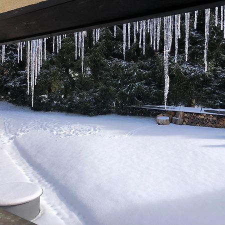 Apartmán s výhledem na Jezerní stěnu Železná Ruda Exterior foto