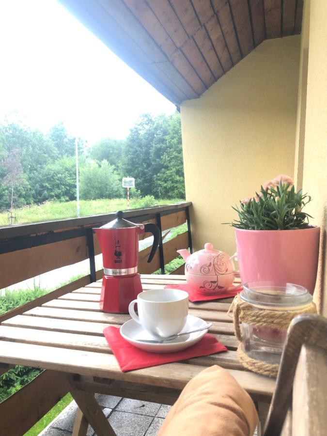 Apartmán s výhledem na Jezerní stěnu Železná Ruda Exterior foto